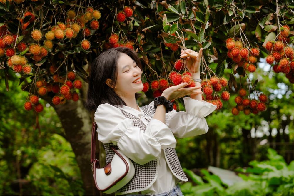 cueillir des fruits